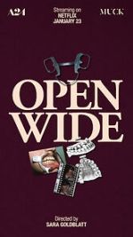Watch Open Wide Watch123movies