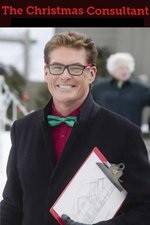 Watch The Christmas Consultant Watch123movies