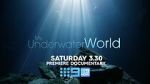 Watch My Underwater World (TV Special 2024) Watch123movies