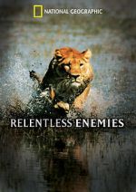 Watch Relentless Enemies Watch123movies