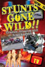 Watch Stunts Gone Wild: Crashes, Smashes & Road Rashes! Watch123movies