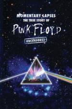 Watch Pink Floyd: Momentary Lapses - The True Story Of Pink Floyd Watch123movies
