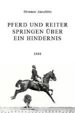 Watch Pferd und Reiter Springen über ein Hindernis Watch123movies