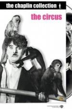 Watch The Circus Watch123movies