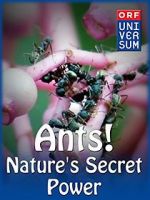 Watch Ants: Nature\'s Secret Power Watch123movies