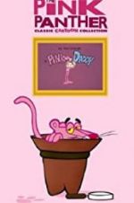 Watch Pink Daddy Watch123movies