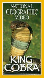 Watch King Cobra Watch123movies