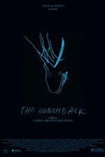 Watch The Hunchback Watch123movies