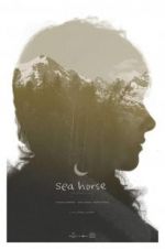 Watch Sea Horse Watch123movies