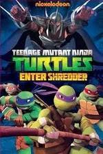 Watch Teenage Mutant Ninja Turtles: Enter Shredder Watch123movies