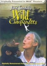 Watch Jane Goodall\'s Wild Chimpanzees Watch123movies