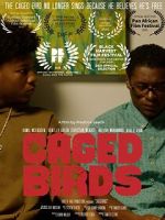 Watch Caged Birds Watch123movies