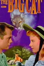 Watch The Big Cat Watch123movies