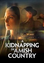 Watch A Kidnapping in Amish Country Watch123movies