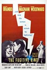 Watch The Fugitive Kind Watch123movies