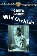Watch Wild Orchids Watch123movies