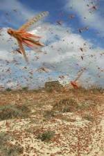 Watch Swarm Chasers: Locusts Watch123movies