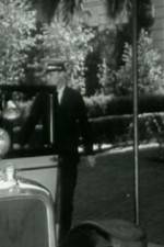 Watch Night Life in Reno Watch123movies