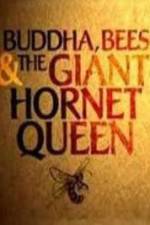 Watch Natural World Buddha Bees and the Giant Hornet Queen Watch123movies