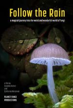 Watch Follow the Rain Watch123movies