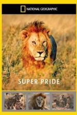 Watch National Geographic: Super Pride  Africa's Largest Lion Pride Watch123movies