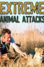 Watch Extreme Animal Attacks Watch123movies