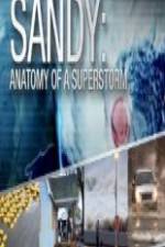 Watch Sandy Anatomy Of A Superstorm Watch123movies