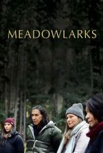 Watch Meadowlarks Watch123movies