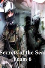 Watch Discovery Channel Secrets of Seal Team 6 Watch123movies