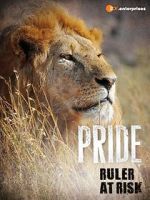 Watch Pride - Ruler\'s at Risk Watch123movies