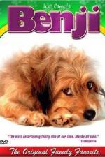 Watch Benji Watch123movies