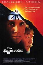 Watch The Karate Kid, Part III Watch123movies