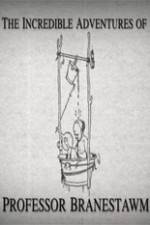 Watch The Incredible Adventures of Professor Branestawm Watch123movies