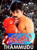 Watch Thammudu Watch123movies