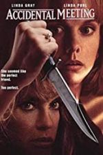 Watch Accidental Meeting Watch123movies