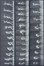 Watch Woman Throwing Baseball Watch123movies