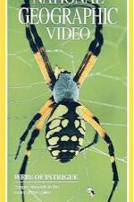 Watch National Geographic's Webs of Intrigue Watch123movies