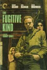 Watch The Fugitive Kind Watch123movies
