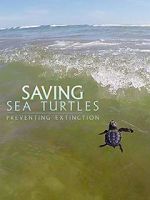 Watch Saving Sea Turtles: Preventing Extinction Watch123movies