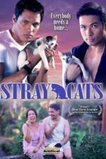 Watch Stray Cats Watch123movies