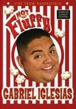 Watch Gabriel Iglesias: Hot and Fluffy Watch123movies