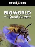 Watch Big World in a Small Garden (TV Short 2016) Watch123movies