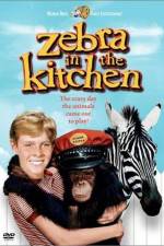 Watch Zebra in the Kitchen Watch123movies