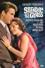 Watch Splendor in the Grass Watch123movies