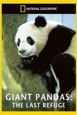 Watch National Geographic Giant Pandas The Last Refuge Watch123movies