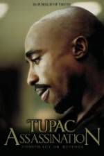 Watch Assassination: Conspiracy or Revenge Watch123movies