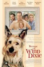 Watch Because of Winn-Dixie Watch123movies