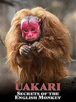 Watch Uakari: Secrets of the English Monkey Watch123movies