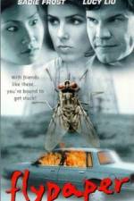 Watch Flypaper Watch123movies