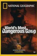 Watch National Geographic World's Most Dangerous Gang Watch123movies
